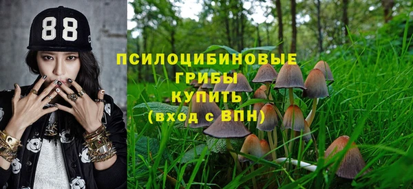 дживик Арсеньев