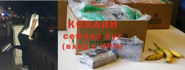 дживик Арсеньев