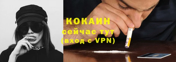 дживик Арсеньев