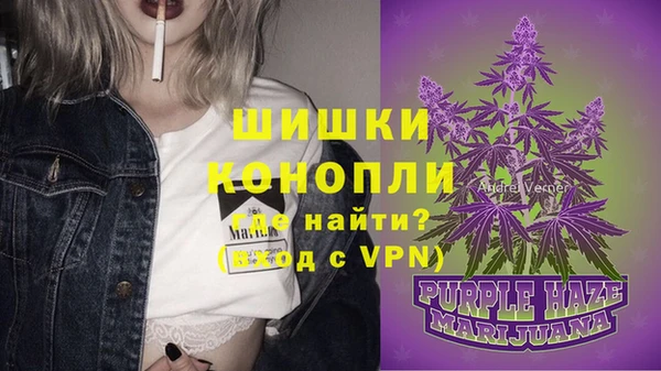 дживик Арсеньев