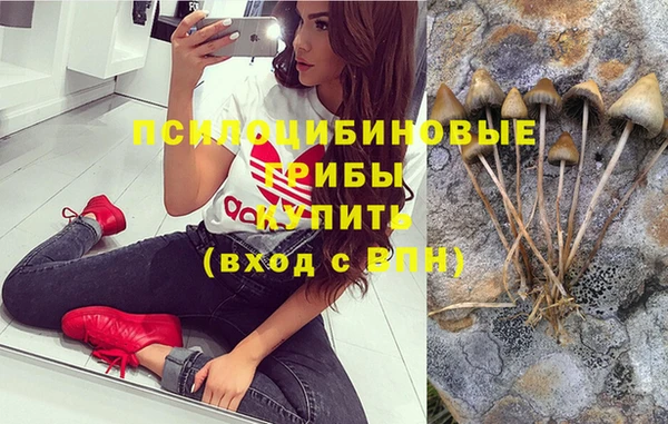 бутират Аркадак