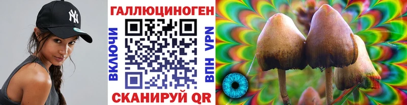 цена наркотик Медынь darknet клад Галлюциногенные грибы мицелий
